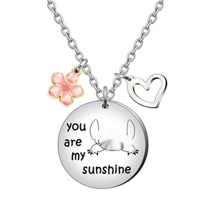 Little Girls Niece Daughter Granddaughter Birthday <strong>Gift</strong> Heart Stainless Steel Necklace You Are My <strong>Sunshine</strong> Necklace for Women - Product Image 2