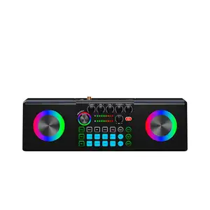 Altavoz de Karaoke portátil HSy169 con 2 micrófonos inalámbricos, 2 micrófonos, tarjeta de sonido, máquina integrada para karaoke familiar, pieza de canto