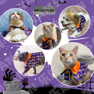 NAMSAN Cape d'Halloween pour animaux de compagnie, motif citrouille et crâne violet, costume décoratif d'automne pour chiens et chats - Product Image 2