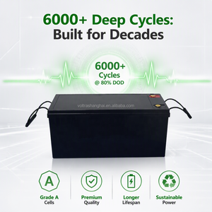 Paket Baterai LiFePO4 VOLTRA 12.8V 200Ah 6000+ Siklus Dalam Grade A untuk RV, Camper, Motorhome, Solar, Profesional, B2B, Industri - Product Image 1