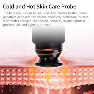 Dispositivo de Belleza Coreano Ice Sculpture Master's Eye, ABS para Rostro y Ojos, Lifting, Reafirmante, Reduce Ojeras y Arrugas, Calmante para Ojos - Product Image 5