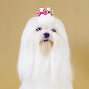 Accesorios para el Cabello de Mascotas Estilo Princesa, Lazo Elegante de Plástico y Tela, Diseño de Pájaro Animal Lindo con Estampado Sólido para Gatos y Perros - Product Image 3
