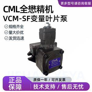 Pompe hydraulique à palettes variables CML VCM-SF-15C-10 à montage sur bride pour systèmes hydrauliques - Product Image 4