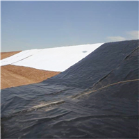 HDPE 1mm <span class=keywords><strong>2mm</strong></span> mịn PE <span class=keywords><strong>PVC</strong></span> <span class=keywords><strong>geomembranes</strong></span> bể cá lót AO composited <span class=keywords><strong>geomembranes</strong></span> Giá máy hàn <span class=keywords><strong>geomembranes</strong></span> - Product Image 4