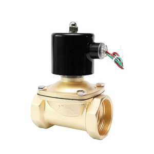 Valvola Solenoide a Diaframma a Funzionamento Diretto Normalmente Chiusa in Ottone da 1/2" 3/4" 1" 1-1/2" 2" 220V 12V 24V per Acqua e Olio - Product Image 2