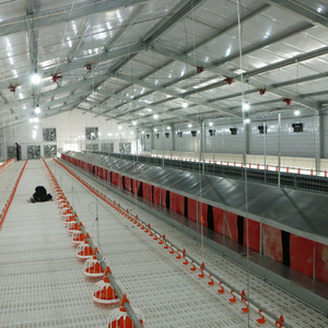 Chất lượng cao gà và gia cầm chăn nuôi trứng đẻ Hộp 220V động cơ Vật liệu thép không gỉ trang trại 220V động cơ Sản phẩm mới - Product Image 4