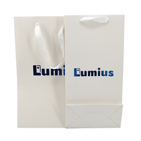 Personalización de marca blanca ecológica embalaje comprador compras regalo llevar bolsas de papel para perfume de los hombres