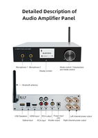 HiFi BT Karaoke Power Amplifier 2X50W DSP Class D Audio Amp With HDM I ARC Optical RCA Input Dual Microphone Bass Treble