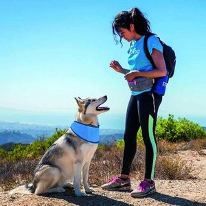 طوق تبريد للثلج حيوان أليف كلب طوق تبريد للصيف الحار وشاح جليدي قابل للتعديل فوري بارد للعنق التفاف برودة - Product Image 3