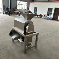Industriële fruitverwerkingsinstallaties automatische tomaten- en mangopureermachine met enkele/dubbele kanaal fruitpulper
