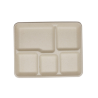 Bandeja de Bagazo Desechable Resistente sin PFAS, con 5 Compartimentos, Sin Blanquear, Compostable (OK Compost, BPI Compostable) para Almuerzos en Cafeterías Escolares