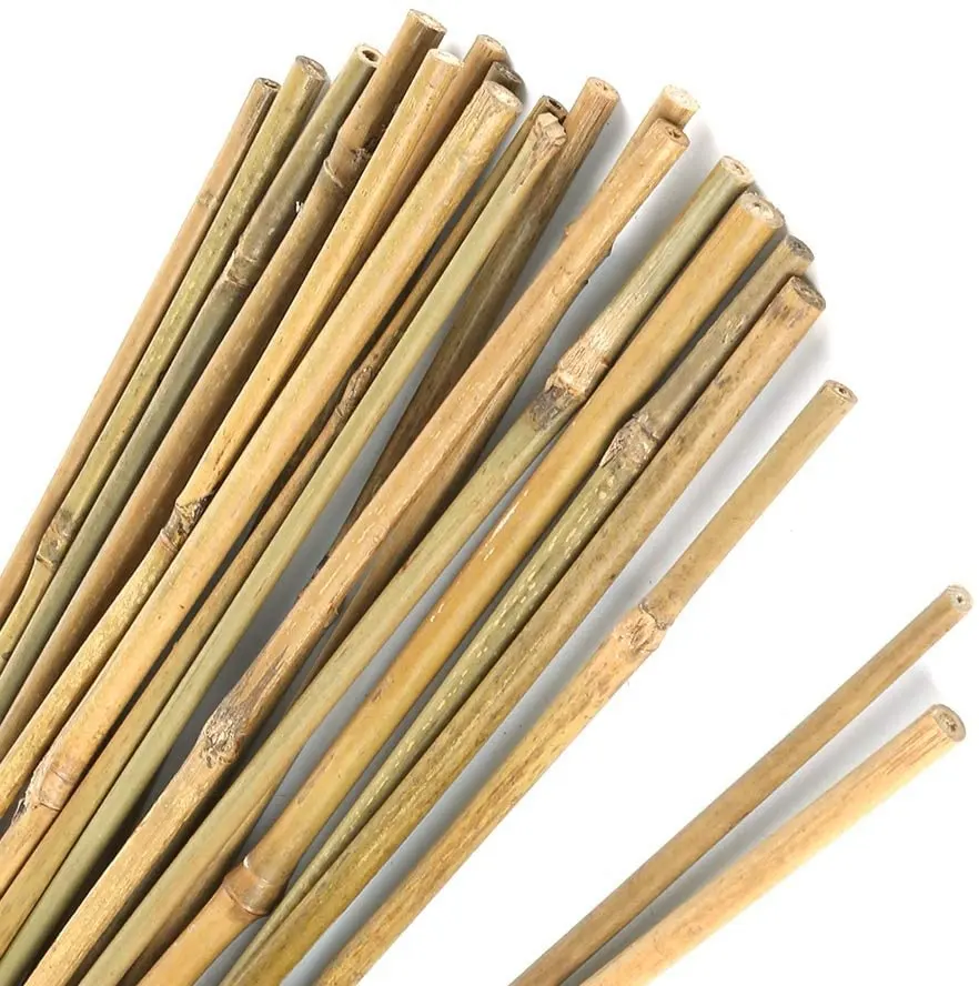 Tongkat bambu taman alami pendukung tanaman tebal pasak bambu untuk menanam penggunaan dalam dan luar ruangan