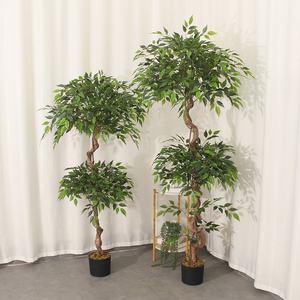 ต้นเบนจามินเทียมต้นไม้ <span class=keywords><strong>Ficus</strong></span> เทียมสำหรับตกแต่งบ้านต้นไม้ไทรเทียม - Product Image 3