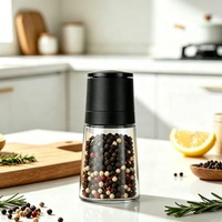 Moulin à poivre manuel en plastique 110 ml, ensemble de moulins à épices réglables, écologique, durable, pour la cuisine domestique