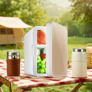 Vente Directe Usine Mini Frigo 8L <span class=keywords><strong>Petit</strong></span> <span class=keywords><strong>Réfrigérateur</strong></span> de <span class=keywords><strong>Voiture</strong></span> Chaud Froid Double Énergie <span class=keywords><strong>Réfrigérateur</strong></span> Portable Maison et <span class=keywords><strong>Voiture</strong></span> - Product Image 4