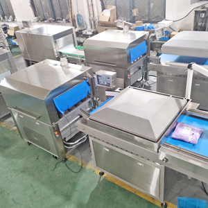 Línea de Envasado al Vacío para Cortes Primales de Carne de Res de Alta Resistencia con Máquina de Sellado al Vacío por Banda, Túnel de Termoencogimiento por Agua Caliente y Estación de Secado por Aire - Product Image 6