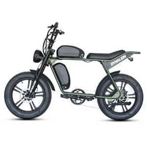 가장 좋은 가격 48V 750W 1000W 높은 탄소 강철 슈퍼 레트로 Ebike 지방 타이어 산 73 전기 자전거