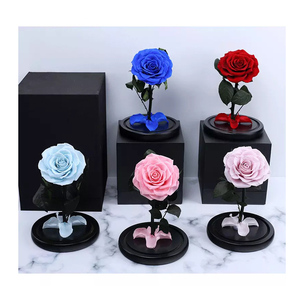 Eternal Forever Preserved Roses Cúpula <span class=keywords><strong>de</strong></span> cristal Boda Regalos <span class=keywords><strong>de</strong></span> Navidad para madres Mujeres Novias para la graduación del Día <span class=keywords><strong>de</strong></span> San Valentín - Product Image 3