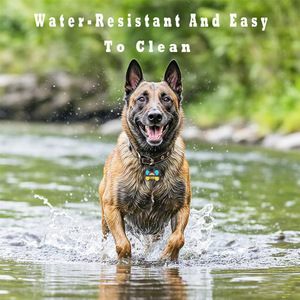 Etiquettes personnalisées pour animaux de compagnie, lettres colorées, rondes, silencieuses, en silicone, anti-perte, étanches, forme d'os, pour chiens - Product Image 4