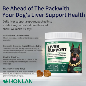 Golosinas Masticables para el Soporte Hepático de Mascotas OEM/ODM, Suplementos Nutricionales con Cardo Mariano para la Desintoxicación del Hígado, Golosinas Blandas para Perros - Product Image 2