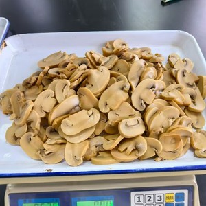 Đóng hộp toàn bộ lát Shiitake nấm trong nước muối/nước đóng hộp <span class=keywords><strong>PNS</strong></span> trong tin - Product Image 3