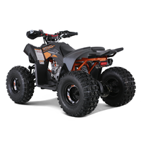 Tao Motor Nouveau Design ATV Sport à Transmission Automatique par Chaîne 125cc avec EPA CE COC