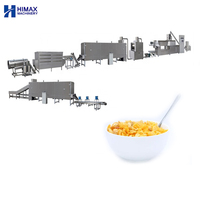 Extrudeuse à double vis entièrement automatique Machines de fabrication de céréales pour petit-déjeuner nutritionnelles Équipement industriel