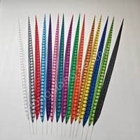 Plumes longues de faisan Lady Amherst artificielles teintées de 50-80 cm pour costumes de carnaval, festivals, décorations de samba, vente en gros
