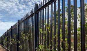 Clôture palissade en section D thermolaquée, robuste, anti-vandalisme, avec poteaux, installation facile, système de clôture durable - Product Image 3