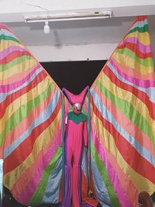 Carnevale futuro stupefacente farfalla brasiliana spettacolo di scena abiti da ragazze Parade Festival costumi di intrattenimento - Product Image 3