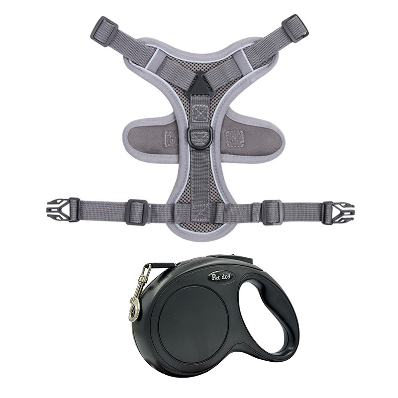 Gray 5-meter automatic retractable rope