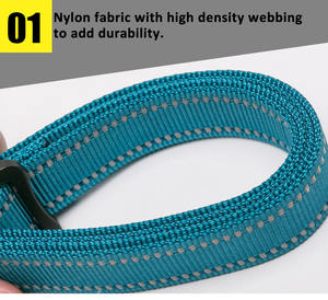 Truelove Großhandel Nylon Atmungsaktive Reflektierende Hunde- und Katzenleine Freihändige Luxus-Verwicklungsfreie Haustierleine Verstellbares Hundezubehör - Product Image 3