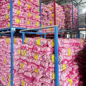 Ajo Blanco Fresco de 4.5-7.0cm con Calidad Premium, Proveedor Confiable de Exportación de China <span class=keywords><strong>para</strong></span> Importadores a Granel en Todo el Mundo - Product Image 5