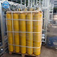 Iso9809-1 rechargeable 50l 300bar 229mm Tped oxygène azote argon hélium Co2 bouteille pour le marché brésilien