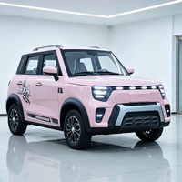 Nouveau véhicule de transport domestique électrique SMT à quatre roues, SUV rose avec phares LED, design élégant, fabriqué en Chine