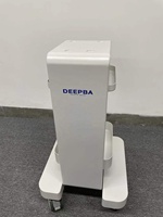 Fábrica personalizada al por mayor DEP Electroporación profunda de iones Introducción Vibración máquina para el cuidado de la piel