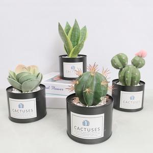Plante décorative artificielle de fleur artificielle succulente de petit <span class=keywords><strong>cactus</strong></span> avec le VP-HL007 de pot - Product Image 1