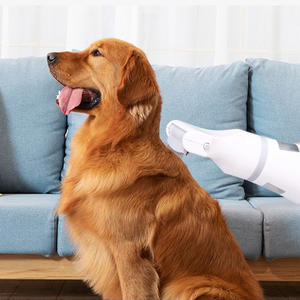 Herramientas <span class=keywords><strong>de</strong></span> limpieza para el cuidado del cabello, <span class=keywords><strong>aspiradora</strong></span> eléctrica para <span class=keywords><strong>piojos</strong></span> y pulgas, peine para eliminar pulgas y perros - Product Image 5