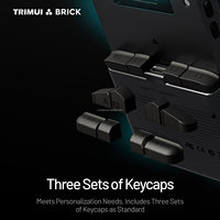 Consola de Videojuegos Portátil R Trimui Brick Pro Retro con Sistema Linux, Wi-Fi y Pantalla de 3.95 Pulgadas