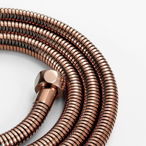 Tuyau de Douche Extensible Moderne Extra Long Pivotant Anti-Torsion Flexible en Acier Inoxydable Anti-Fuite pour Salle de Bain - Product Image 2