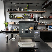 Torréfacteur de café automatique, mini-machine électrique de torréfaction d'échantillons de grains de café pour café et cuisine