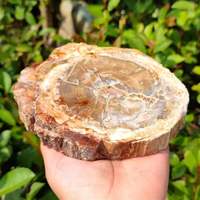 Meistverkaufte Rohe Kristalle Heilsteine Roher Stein Versteinertes Holz Platte zur Dekoration