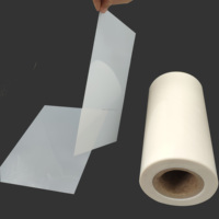 Feuilles et gabarits vierges en PET Mylar rigide brillant soluble dans l'eau 6 mil, rouleau de 24 pouces