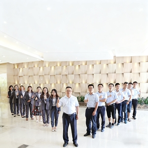 Máquina de Colocación de Componentes SMT Rentable Decan S1S2 para Montaje de PCB - Product Image 6