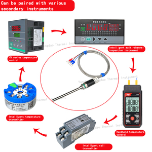 مستشعر حرارة <span class=keywords><strong>Pt100</strong></span>، ثيرمستور بلاتيني WZP 304 من الفولاذ المقاوم للصدأ، مسبار مقاوم للماء IP68، قضيب استشعار حرارة Cu50، تصنيع حسب الطلب - Product Image 4