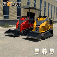 Minicargadora Multifuncional con Plataforma para Operador, Cumple con las Normas EPA Euro5, Equipada con Cucharón 4 en 1 para Proyectos Terrestres