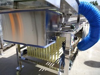 Noten Verwerking Macadamia Noten Walnoot Kastanje Sorteren Sorteermachine