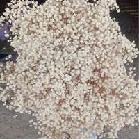 Fleurs de Gypsophile Séchées Blanches 120g, Branches de Gypsophile Réelles pour Centres de Table de Mariage et Décoration Intérieure