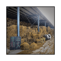 Bâtiment de hangar agricole à grande structure en acier à extrémités ouvertes à faible coût