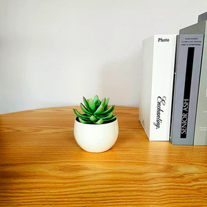 Planta Suculenta Artificial Qi Xing en Maceta de 11 cm, PVC Suave, Decoración para el Hogar - Product Image 3